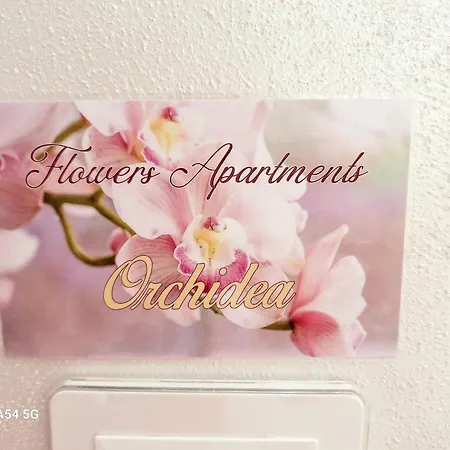 شقة Flowers